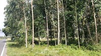 20180726_113110