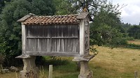 20180726_114550