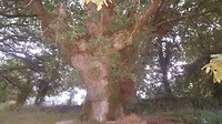 20180726_073627