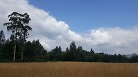 20180726_115428