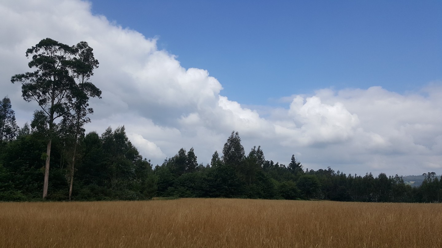 20180726_115428