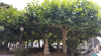20180726_154657