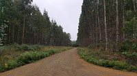 20180727_083020