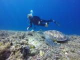 Mich met een mooie green turtle