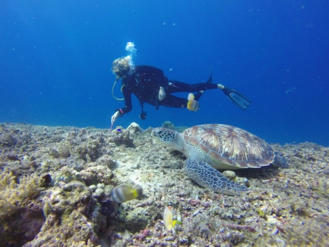 Mich met een mooie green turtle