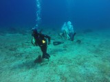 Bezigheid tijdens een fun dive onder de divemasters