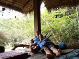 Lome limbo's
