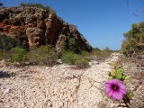 Mooie gorge