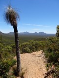 Stirling ranges