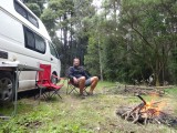 Eucalyptus bladeren: I am loving it!