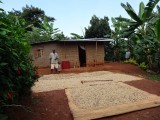 Koffiéééé