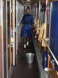 Ol in actie  (met witte sokjes)