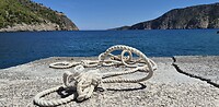 Assos