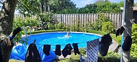 B&B In d'Oude Vlaamse schuur