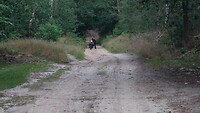 Pittige klim door het zand bij Hellendoorn