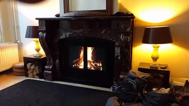 Wijntje bij de haard in onze B&B Deventer