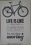 Live is like riding a bicycle. To keep your balance you must keep moving!