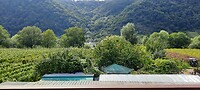 Uitzicht vanaf balkon over de wijngaarden, Moezel en de bossen.