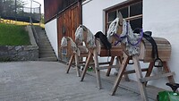 De paarden van de kids.