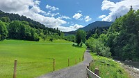 Heerlijk, de groene alpenweides.