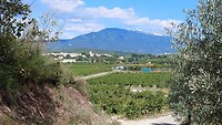 Op de achtergrond de Mont Ventoux