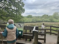 IMG_7152