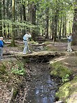 IMG_3251