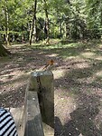IMG_7202