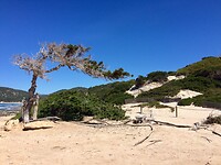 IMG_8114