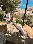 IMG_7431