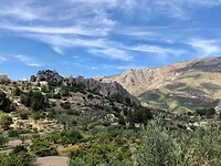 IMG_7433