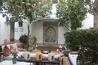 IMG_2556