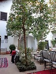 IMG-20200129-WA0012