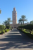 IMG_2605