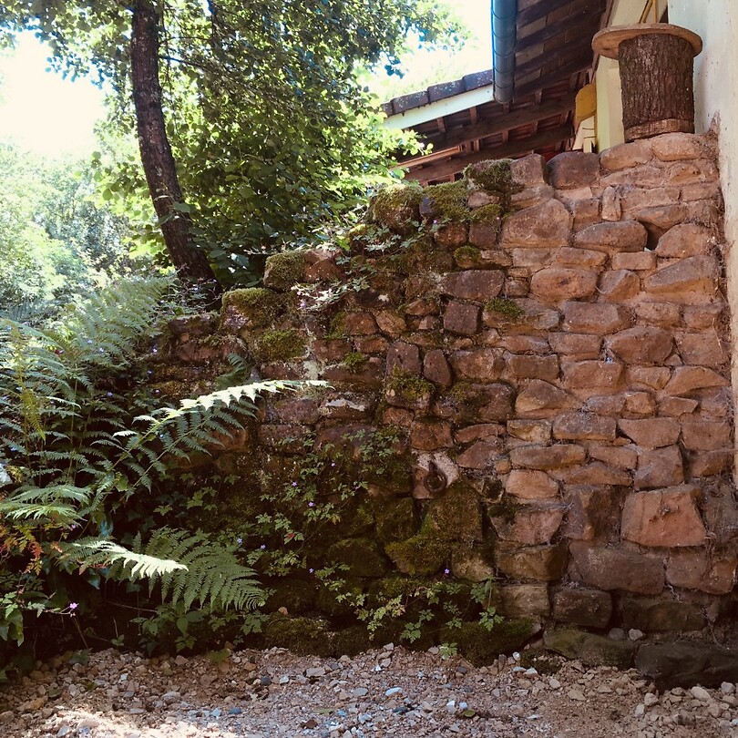 Ecolonie