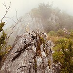 Montsegur