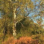 aan de wandel, camping Moulin de Liort