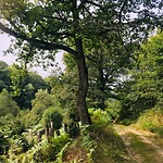 aan de wandel2, La Salvetat