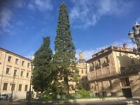 Tussenstop in Salamanca2