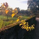 tijdens een wandeling