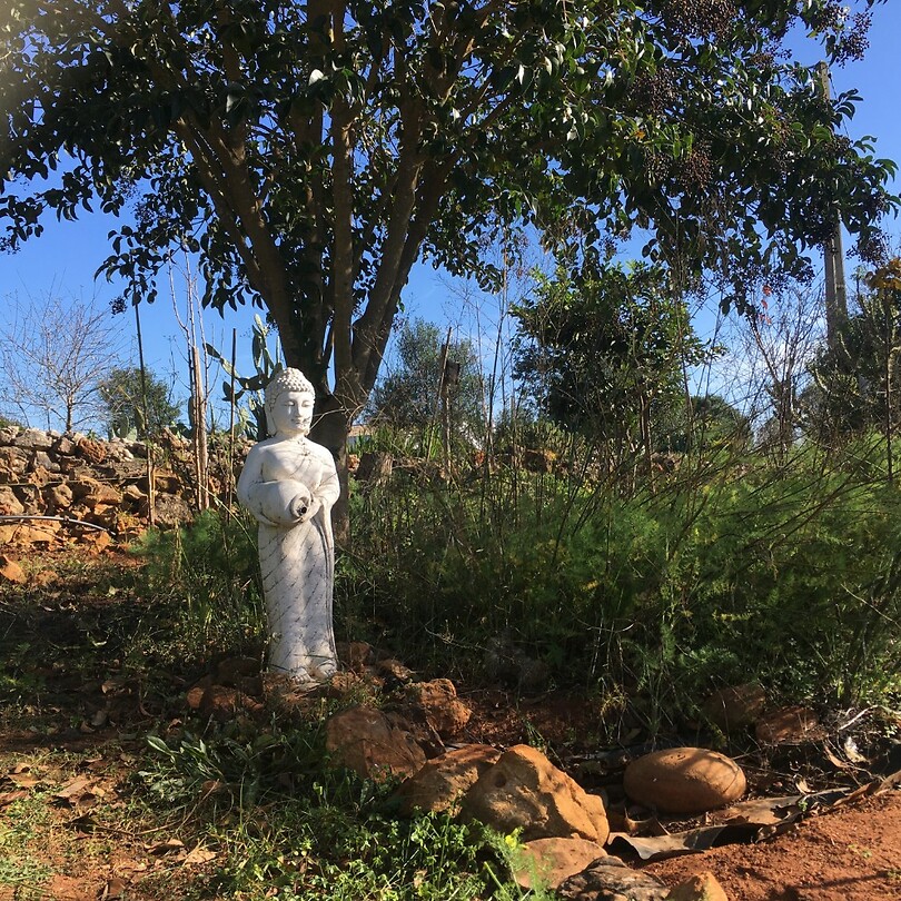 Monte Rosa