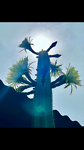 San Pedro cactus