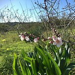 Spring is in the air