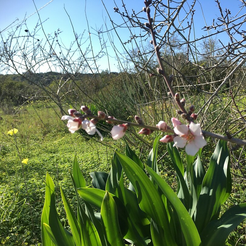 Spring is in the air