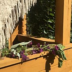 Blokhut Ecolonie2