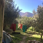 op finca Primavera