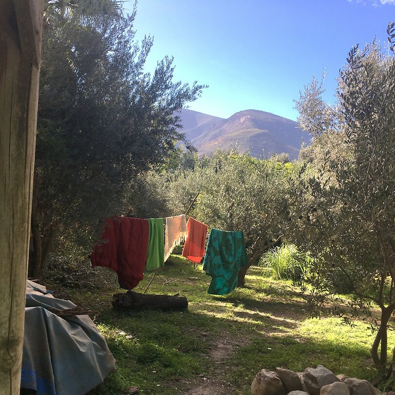 op finca Primavera