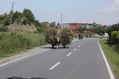 Voerman bij Bushat