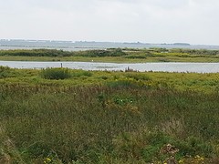 20160820_110706