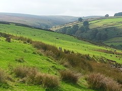 Brontë Walk,  naar de Brontë Falls.